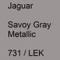 Preview: Jaguar, Savoy Gray Metallic, 731 / LEK.